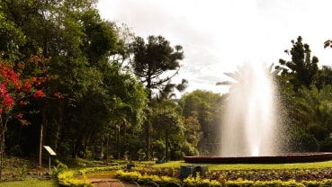 9. Jardín Botanico-min