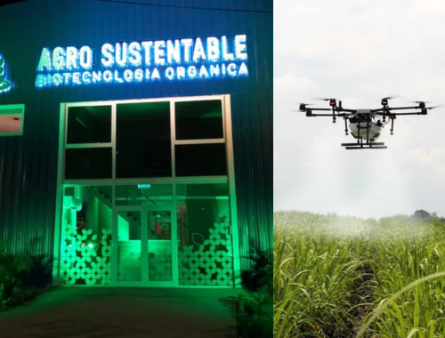 Lee más sobre el artículo Agro Sustentable desarrolla una app con IA que servirá para asistir a los productores