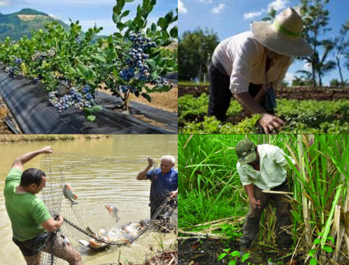 Lee más sobre el artículo Misiones potencia negociaciones con empresarios Brasileños para la producción agrícola