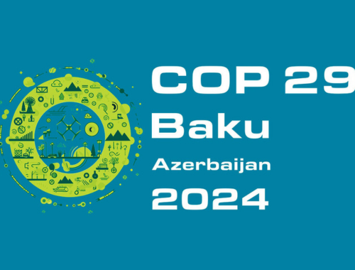 Lee más sobre el artículo COP29: Misiones consolida su liderazgo en los mercados de carbono