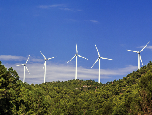 Lee más sobre el artículo Misiones refuerza lazos internacionales para proyectos de energías renovables y tecnología