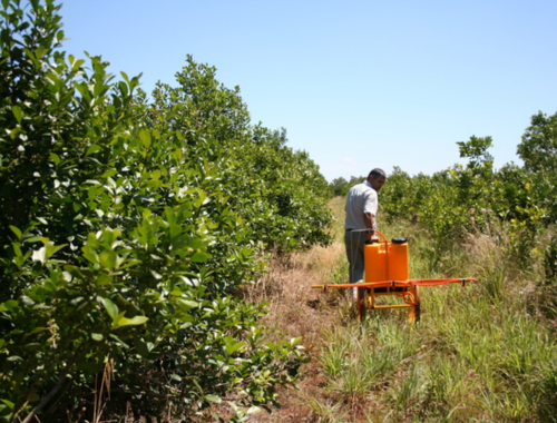 Lee más sobre el artículo El Gobierno de Misiones extiende hasta junio de 2025 las líneas de crédito para fomentar la producción